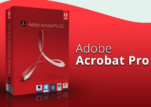 adobe acrobat professional portable download
